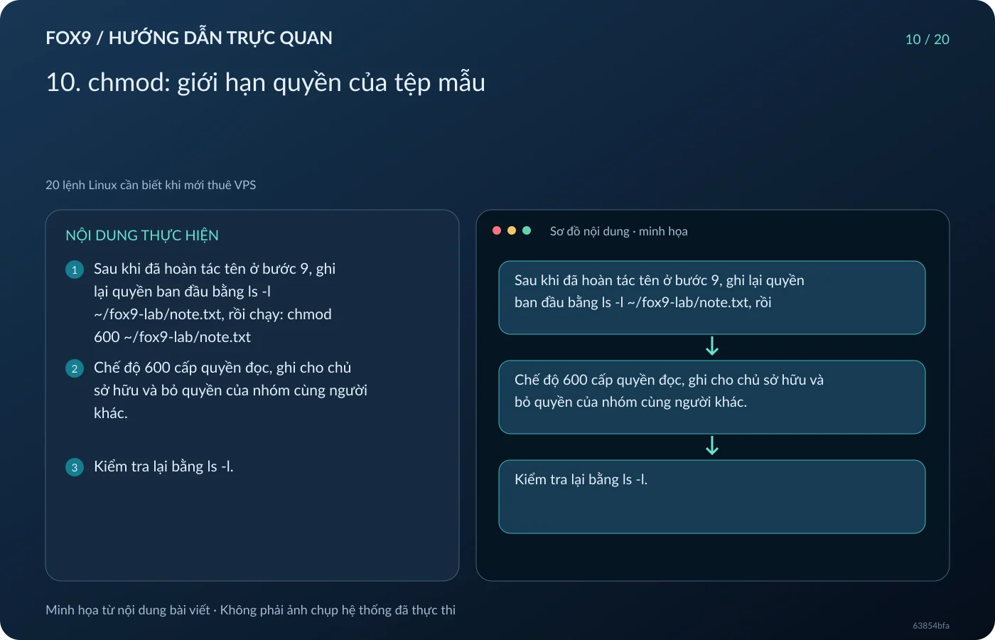 Minh họa 10. chmod: giới hạn quyền của tệp mẫu