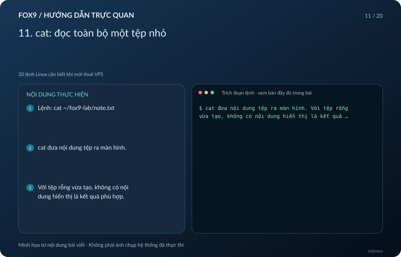Minh họa 11. cat: đọc toàn bộ một tệp nhỏ