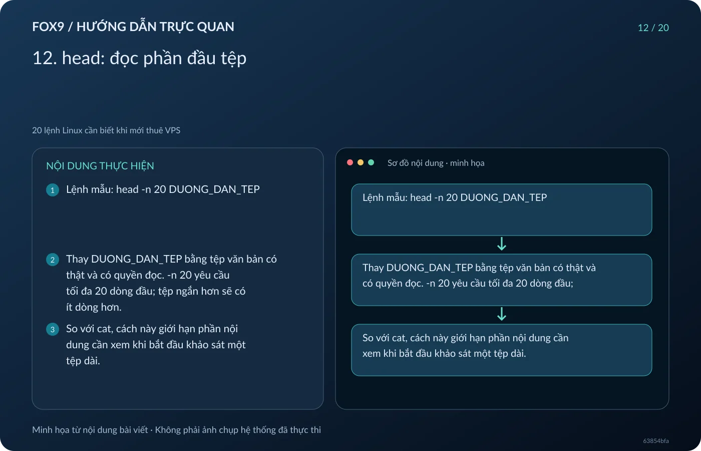 Minh họa 12. head: đọc phần đầu tệp